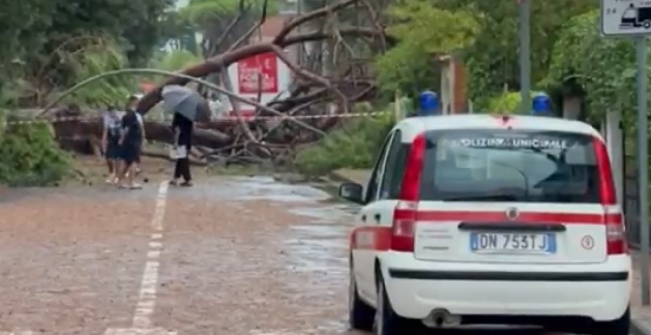 Firenze Maltempo Il Direttore Del Lamma Fa Chiarezza Sulle Allerte