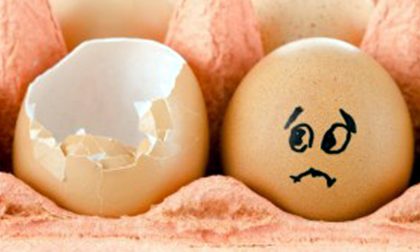 Rischio salmonella: ritirato lotto di uova fresche prodotte in Abruzzo