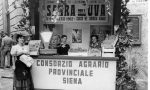 "Una storia al servizio dell'agricoltura" 117 anni in mostra con le fotografie dell'archivio