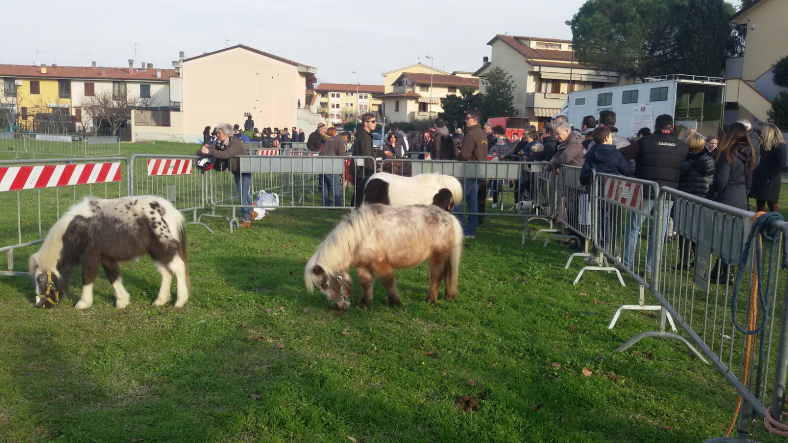Sant'Antonio 2018 PaC - I pony