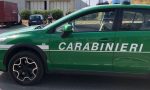Cpap: Comando Provinciale Carabinieri Forestali di Prato è stato accorpato a Pistoia? Sembra proprio di sì