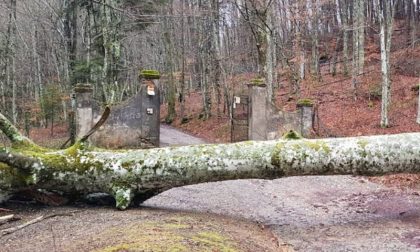 Emergenza maltempo, si riparano i danni in somma urgenza