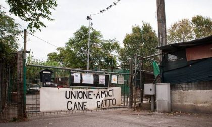 Sgombero canile del Termine: adesso parla Alberti, dirigente della Onlus