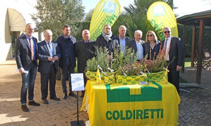 Giorgio Tesi Group dona 10 mila piantine per Monte Pisano