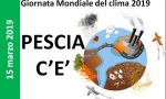 Raccolta differenziata, incontri nelle scuole a Pescia