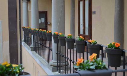 Festa della donna, fiori colorati abbelliscono il cortile della Magnolia