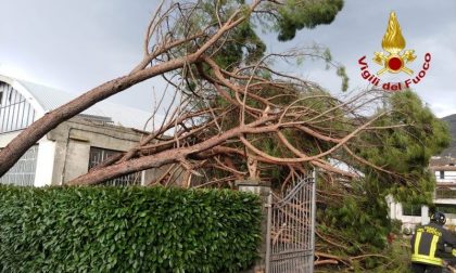 Codice giallo per vento, su Firenze, Prato, Pistoia fino alla mezzanotte di martedì 19