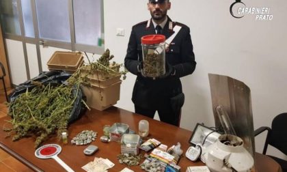 Serra di marijuana in casa, arrestato 42enne italiano