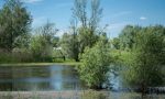 Primo maggio al Parco fluviale