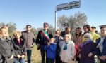 Una passeggiata tra le vigne per giacomo Tachis