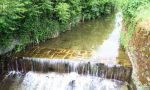 Wwf di Pistoia e di Prato: "Gravi conseguenze ambientali con gli sversamenti nel torrente Brana"