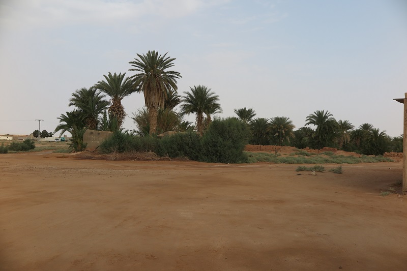 tindouf 1