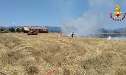 Bruciano le sterpaglie in un campo a Prato