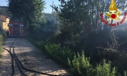 A fuoco 5mila metriquadri di oliveta e vegetazione