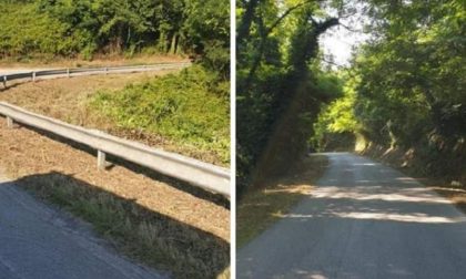 Notizia tanto attesa: via allo sfalcio dell'erba sulle strade Provinciali