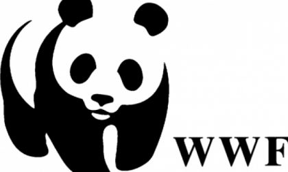 WWF: "Domani apertura anticipata della caccia, una decisione assurda che mette a grave rischio moltissime specie"