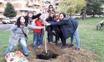 Civiche Insieme pianta due nuovi alberi a Poggibonsi
