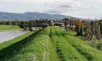 Restano serie le condizioni del bimbo caduto nel fiume a Ponte Buggianese