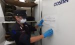 Colonie di scarafaggi in frigorifero: multa e sequestro di alimenti per ristorante cinese a Campi Bisenzio