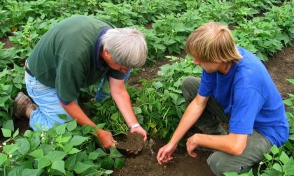 Agricoltura, finanziati i corsi per insegnare ai giovani il valore del bosco e dei suoi frutti