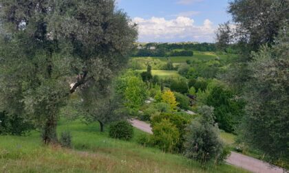 Biologico: la Toscana ai vertici nazionali