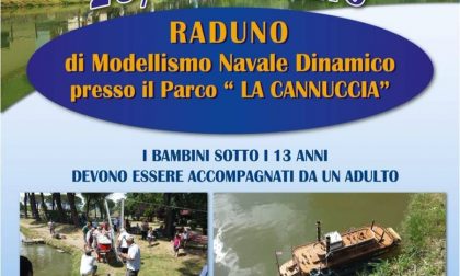 Modellismo navale, raduno al parco-lago La Cannuccia