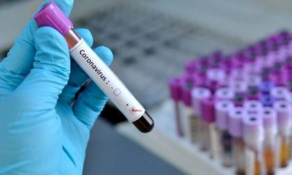 Coronavirus, 33 guariti e 191 nuovi contagi in Toscana il 19 luglio: tasso sul primo tampone di nuovo quasi al 10%