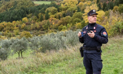 Brucia le potature e provoca un incendio nel bosco