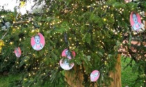 Sull'albero del Comune spuntano le palline di Natale con la faccia di Hitler