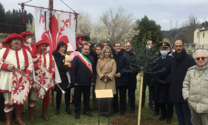 Piantato l’ulivo in memoria di Enzo Galli, esempio di umanità e solidarietà