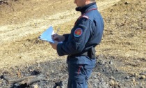 Scandicci: operaio agricolo responsabile di un incendio, denunciato