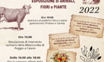 A Poggio a Caiano arriva “Sant’Antonio in fiore”: domenica 1° maggio animali, fiori e piante in fiera