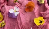 Festa dei fiori, un gelato con petali di rosa da “Il Fantino”