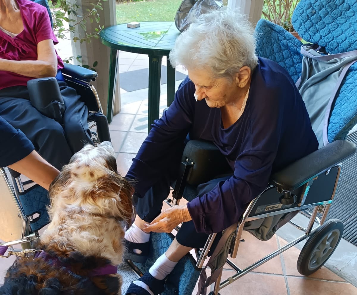 IMMAGINE_RSA Prato Sereni Orizzonti incontro animali-anziani (12)