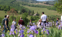 Toscana in fiore è il nuovo fenomeno turistico della regione