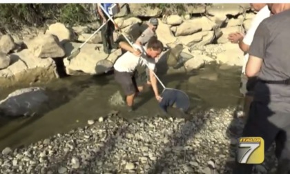 Il salvataggio dei pesci nel fiume Pesa a Montelupo