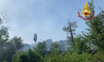 A fuoco oliveta a Bagno a Ripoli