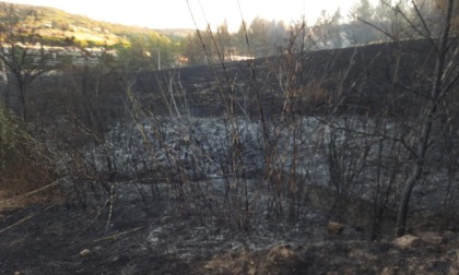 Incendio di Greve: danni per un milione all'azienda Castel Ruggero