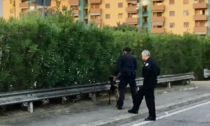 Controllo dei Carabinieri a Campi con i cani antidroga 