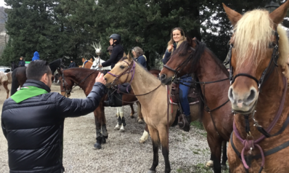 A Cercina la tradizionale benedizione degli animali in onore di Sant’Antonio 