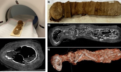 Una mummia di gatto sotto la Tac
