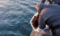 Pescano oltre 1600 esemplari di ricci di mare, beccati pescatori di frodo