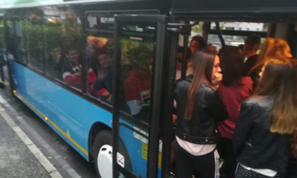 Alla guida del bus con il titolo di abilitazione scaduto: annullata la gita di una scolaresca