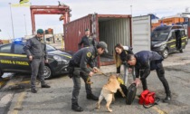 Sequestrati 53kg di cocaina nel porto di Livorno