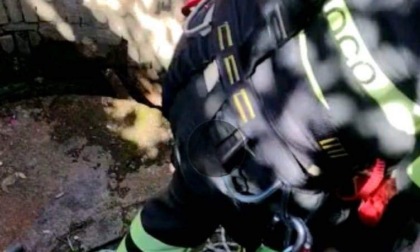 Anziano cade in un pozzo profondo 15 metri: salvato dai Vigili del Fuoco 