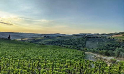 Il Chianti classico a passo spedito per diventare Patrimonio Mondiale Unesco