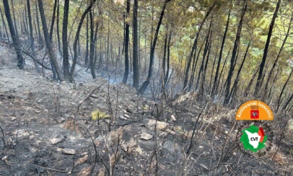 Maxi incendio nel comune di Calci, bruciati quattro ettari di pineta