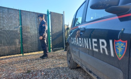 Giovane italiano arrestato per spaccio: in casa anche armi