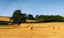 Agricoltura: economie di spesa per 15 milioni, aumentano i beneficiari dei bandi