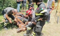 Cavallo cade in un fossato: autogru per salvarlo